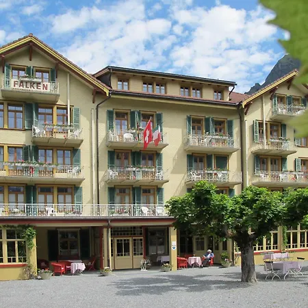 Historic Hotel Falken-3