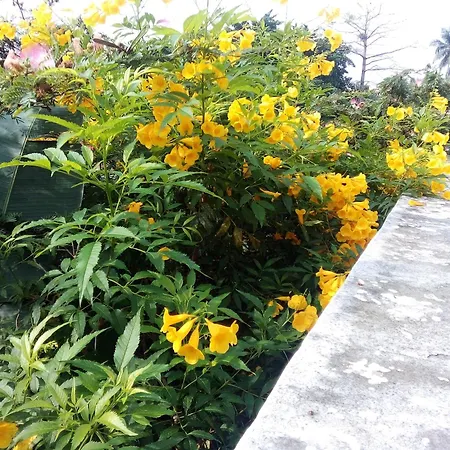 Villa Mango-2
