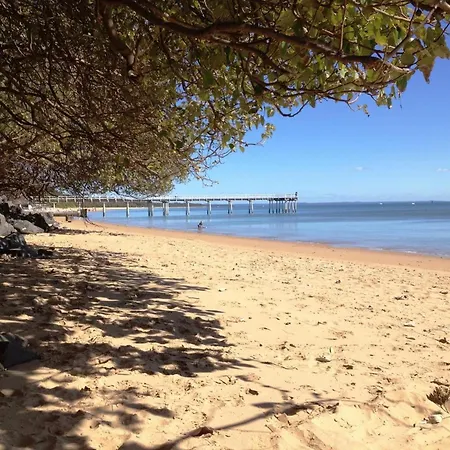 Coconut Palms On The Bay-2