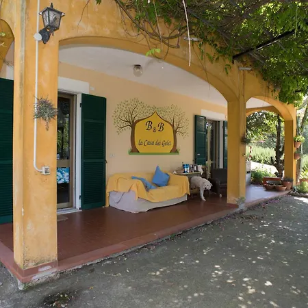 B&B La casa dei gelsi-2