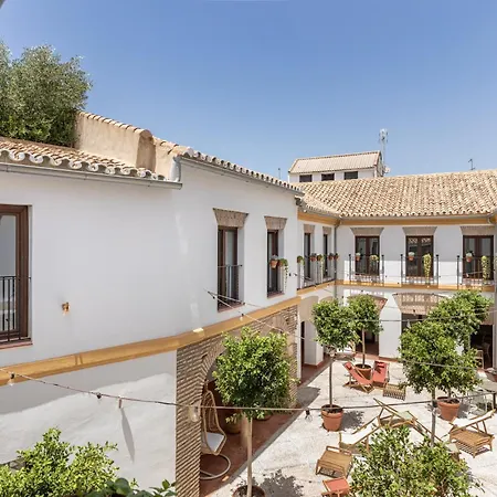 Cats Hostel Cordoba-3