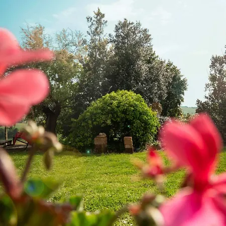 B&B Aesis La Dolce Collina-2