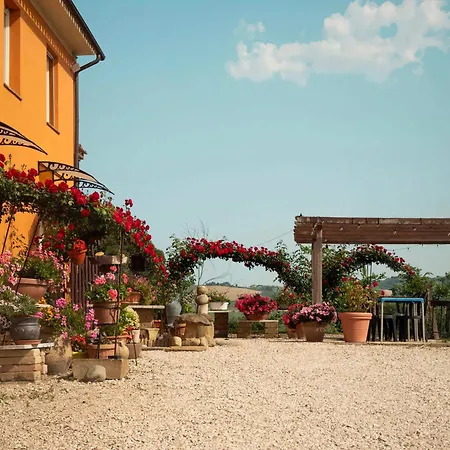 B&B Aesis La Dolce Collina-3