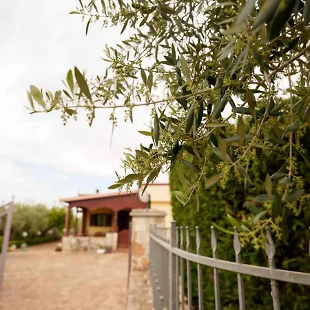 Villa MARIO-2