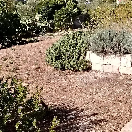 Fiore di Cappero-2