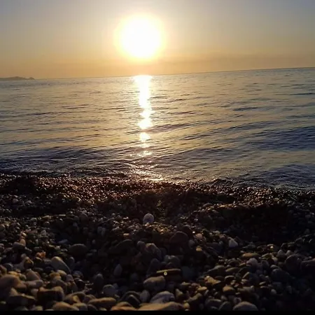 Solemare-2