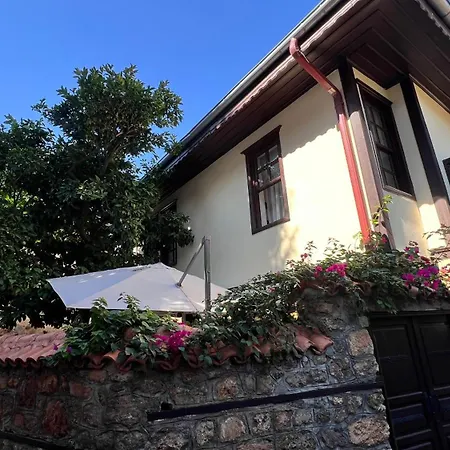 Villa Citronella Boutique Hotel-3