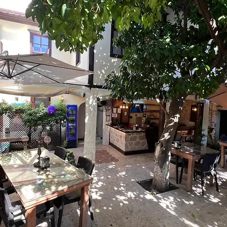Villa Citronella Boutique Hotel-2