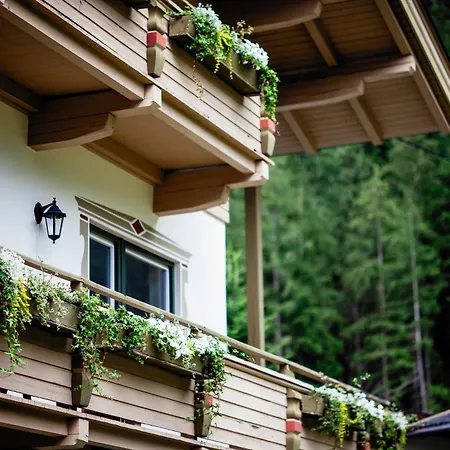 Pinetree Lodge Mayrhofen-2