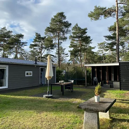Chalet de Bosrand 404, unieke rustige plek met veel privacy aan de bosrand van vakantiepark op de Veluwe-3
