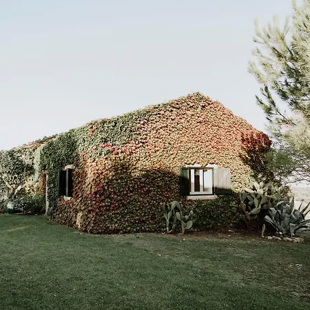 Bibbia- Tenuta di Campagna-3