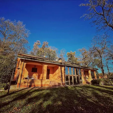 Guest House La Selvotta-3