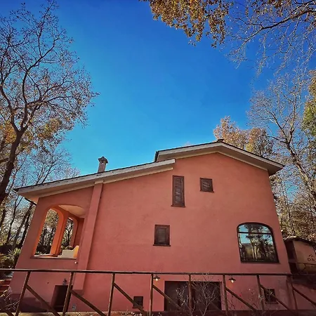 Guest House La Selvotta-2