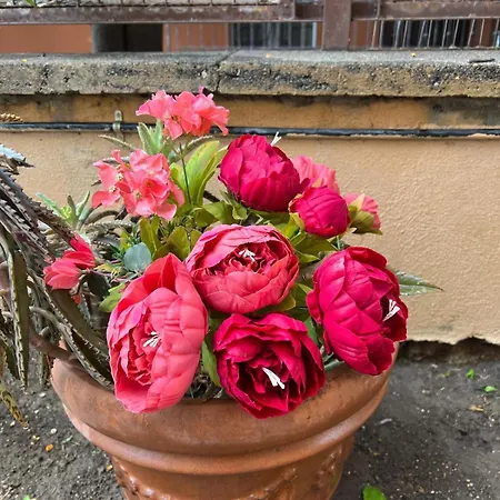 Villa dei fiori-2