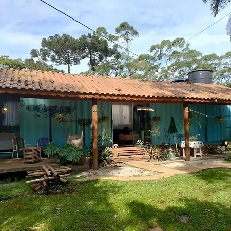Container na mata atlântica-2
