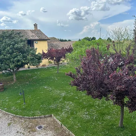 Agriturismo Il Casale Grande-2