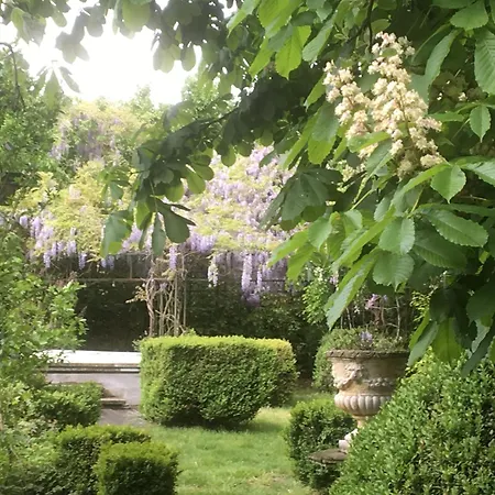 The Secret Garden-2