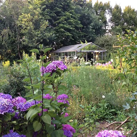 The Secret Garden-3