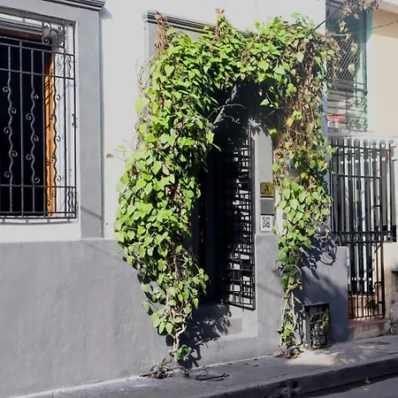Casa Charlotte - Alma Hotels-3