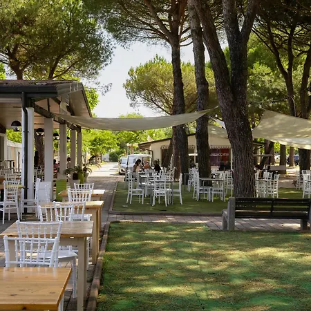 New Campsite in Cesenatico Camping Village-3