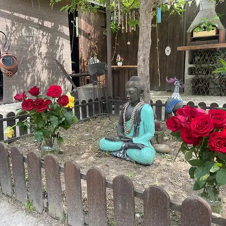 Pirola Music Ranch Guest House B&B-2