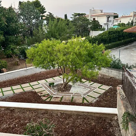 Via dei mirtilli-2