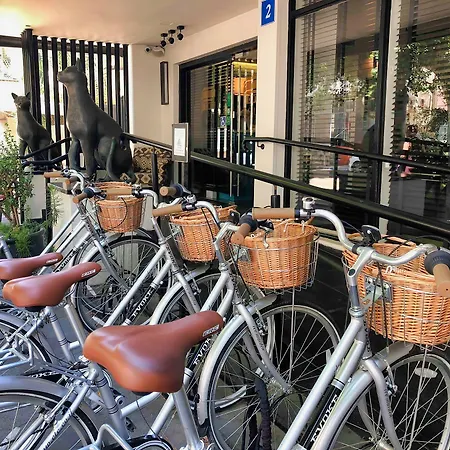 Center Chic Hotel - An Atlas Boutique Hotel-3
