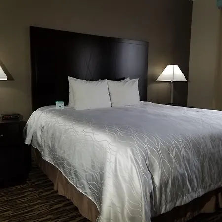 Comfort Suites Plano East - Richardson-3