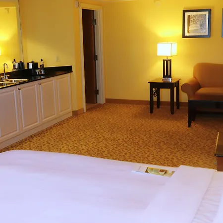 St. Petersburg Marriott Clearwater-3