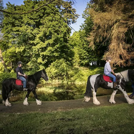 Beech Hill Hotel-3