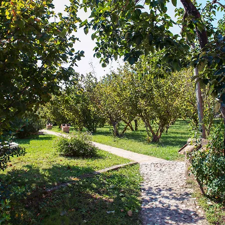 Hotel Villa Rizzo Resort&Spa-3