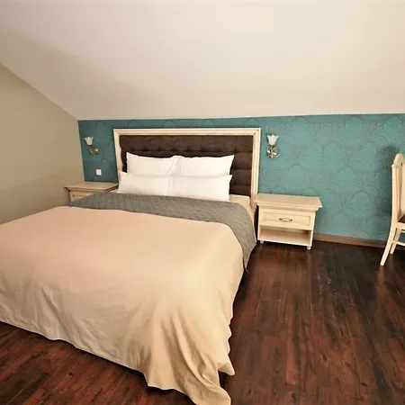 Villa Skadarlija-2
