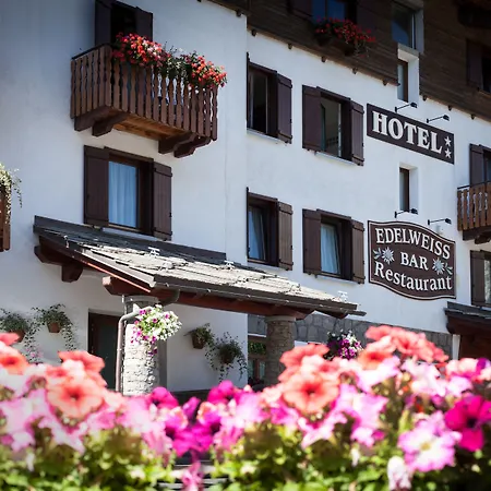 Hotel Edelweiss-2