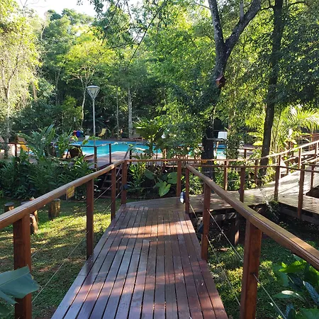 Selva De Laurel-3