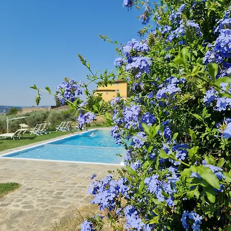 Fattoria di Maiano-3