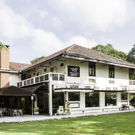 Pegasus Hotel-3