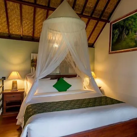 Sisin Ubud View-3