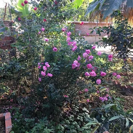 Van Long Family Homestay-3