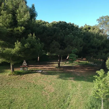 Camping Paradiso-3