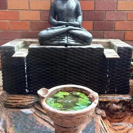 Zen Moon Hostel-3