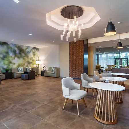 Wyndham Garden Orlando Universal / I Drive-2