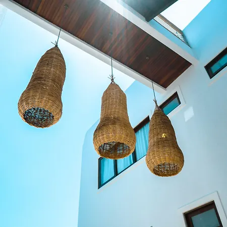 Zenhousepipa-3