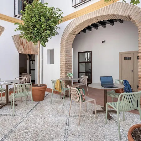 Cats Hostel Cordoba-2