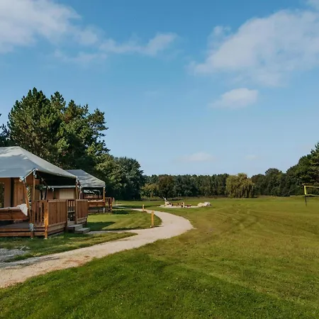 Glamping Lodge With Eco-Wellness-2