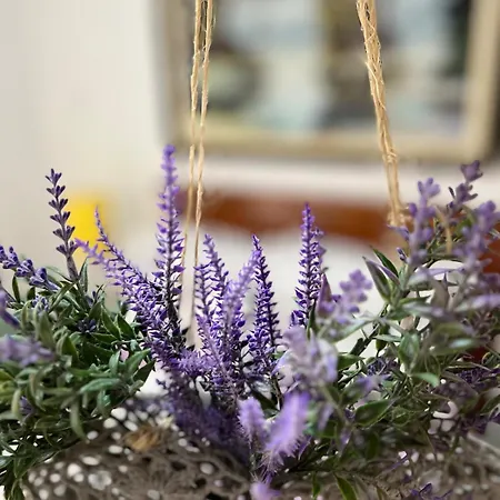Cantinho Ítalo-Germânico Hospedagem - Suíte Lavanda - Centro, Marechal Floriano-ES-3