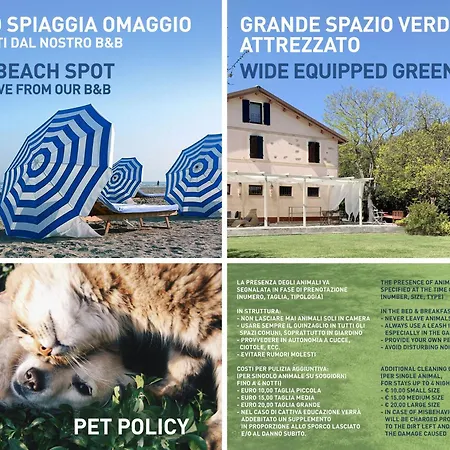 Armonia della Sera B&B - Residenza di campagna-3