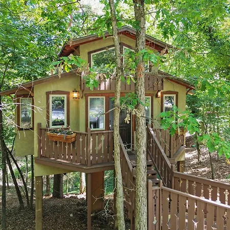 The Grand Treehouse Resort-2