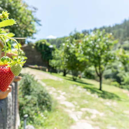 Quinta da Rabaçosa - Turismo Rural-3