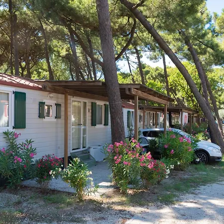Camping Mare e Pineta-3