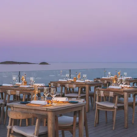 Melia Ibiza - Adults Only-3